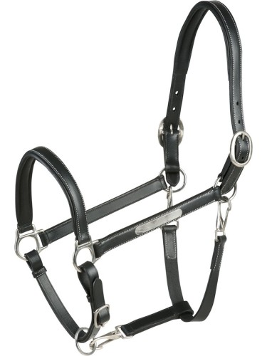 Leather Halter Grooming Eric Thomas Pro