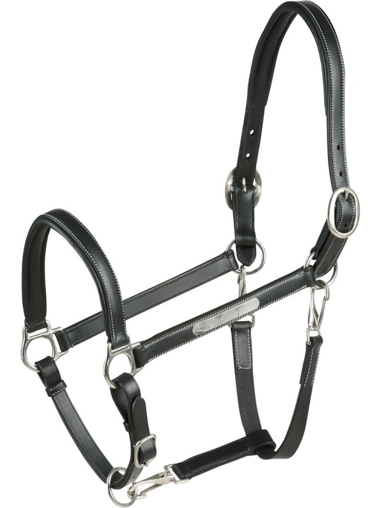 Leather Halter Grooming Eric Thomas Pro