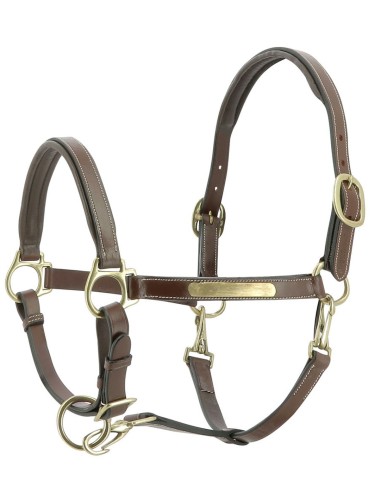 Leather Halter Grooming Eric Thomas Pro