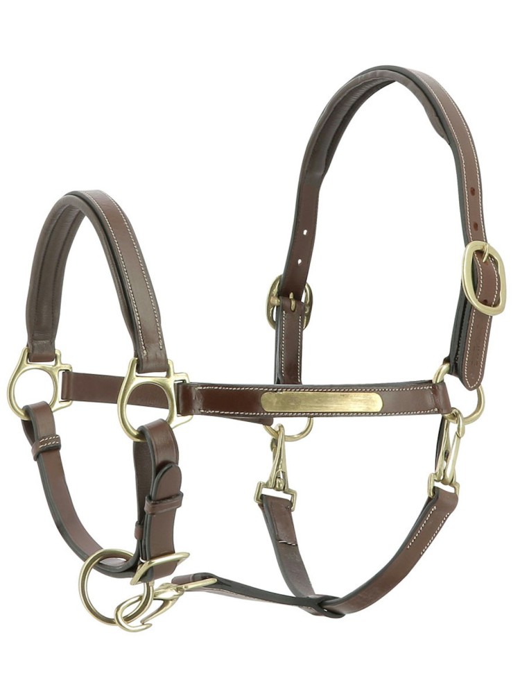 Leather Halter Grooming Eric Thomas Pro