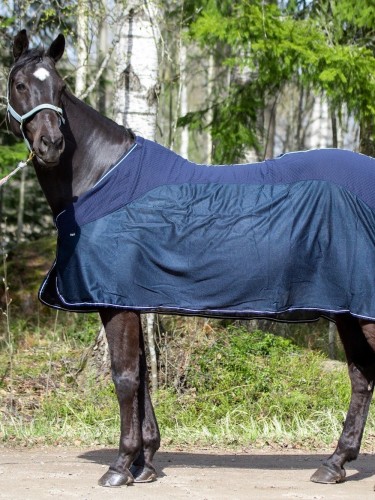 Cooler rug Hybrid Carox Wahlstén