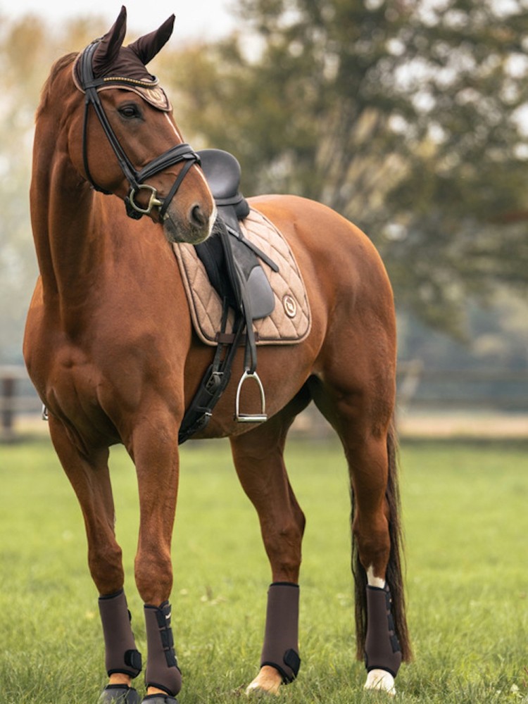Saddle pad Haze Collection Back On Track