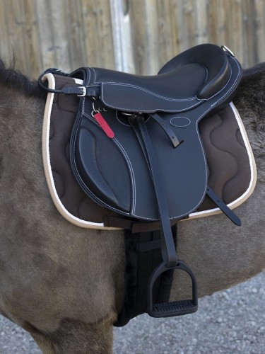 Treeless saddle Evolution Jumping Pony Guy Cantin