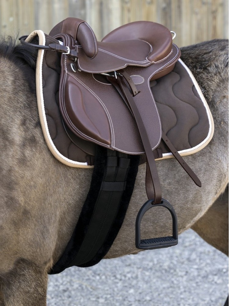 Treeless saddle Evolution Educative Pony Guy Cantin