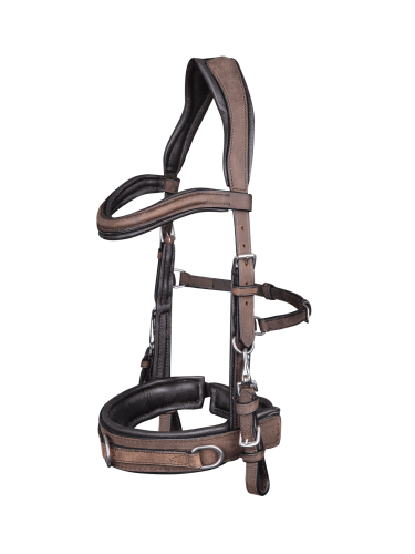 Anatomic Cavesson Waldhausen