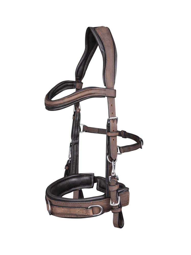 Anatomic Cavesson Waldhausen