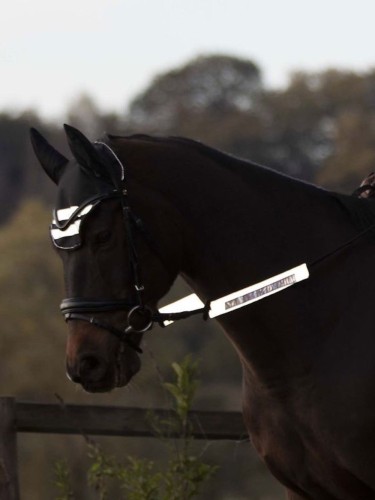 Bridle Set Reflex Waldhausen