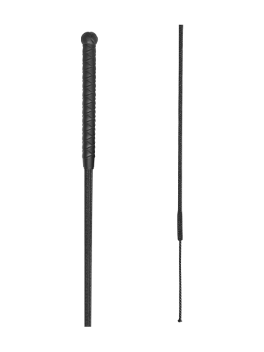 Jumping whip Basic Waldhausen