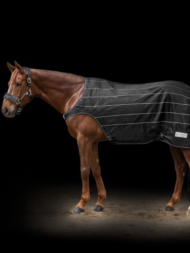 Walker rug Reflex Waldhausen