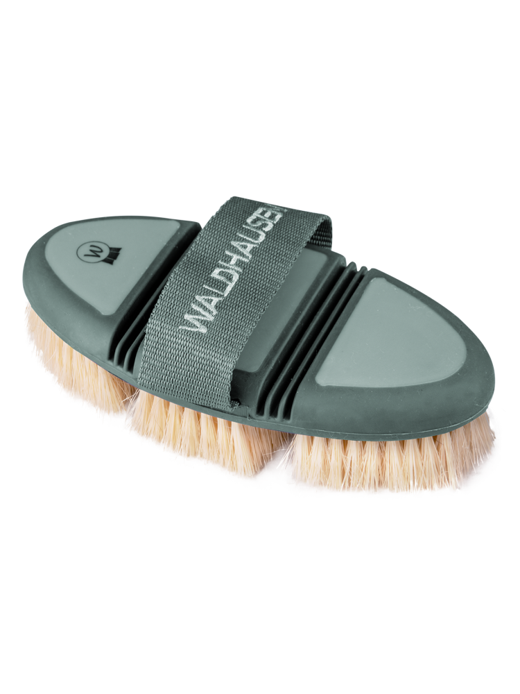 Flex Dandy Brush Waldhausen