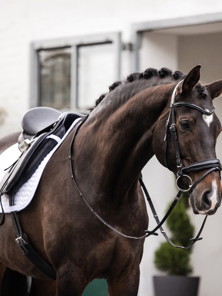 Dressage saddle pad Classic Waldhausen