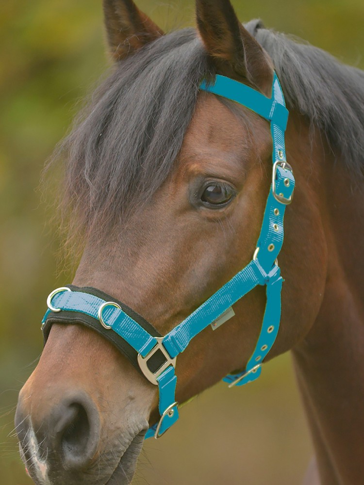 Lunging halter Economic Waldhausen Lunging halter Economic Waldhausen