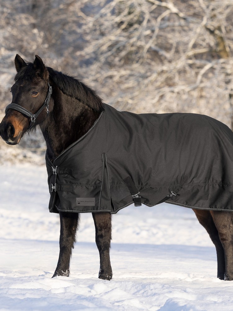 Turnout rug Nordic 200g 600D Waldhausen