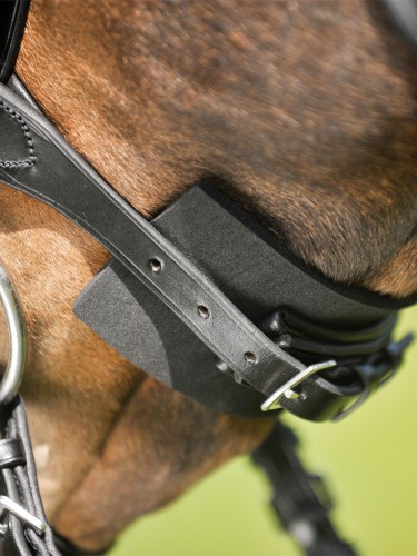 Padding for Bridles Waldhausen
