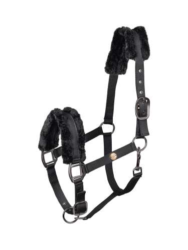 Halter Modern Rosé Waldhausen