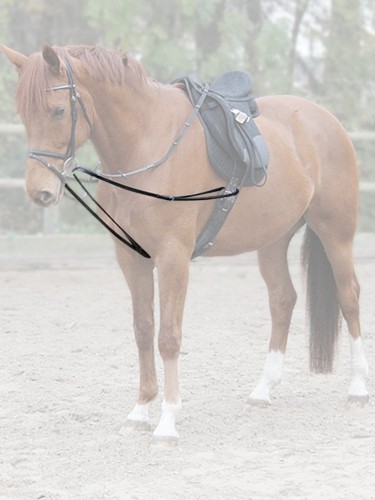 Draw reins One-Piece Waldhausen X-Line