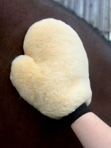Lambskin Grooming Glove Waldhausen