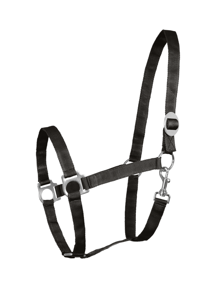 Halter Perlon Waldhausen