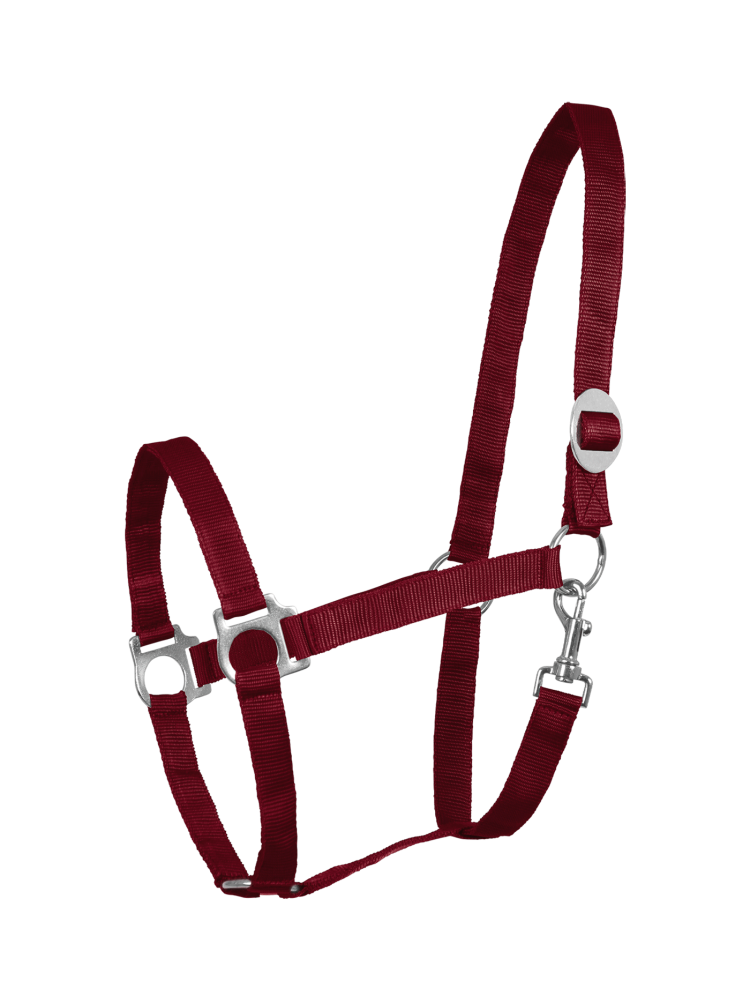 Halter Perlon Waldhausen
