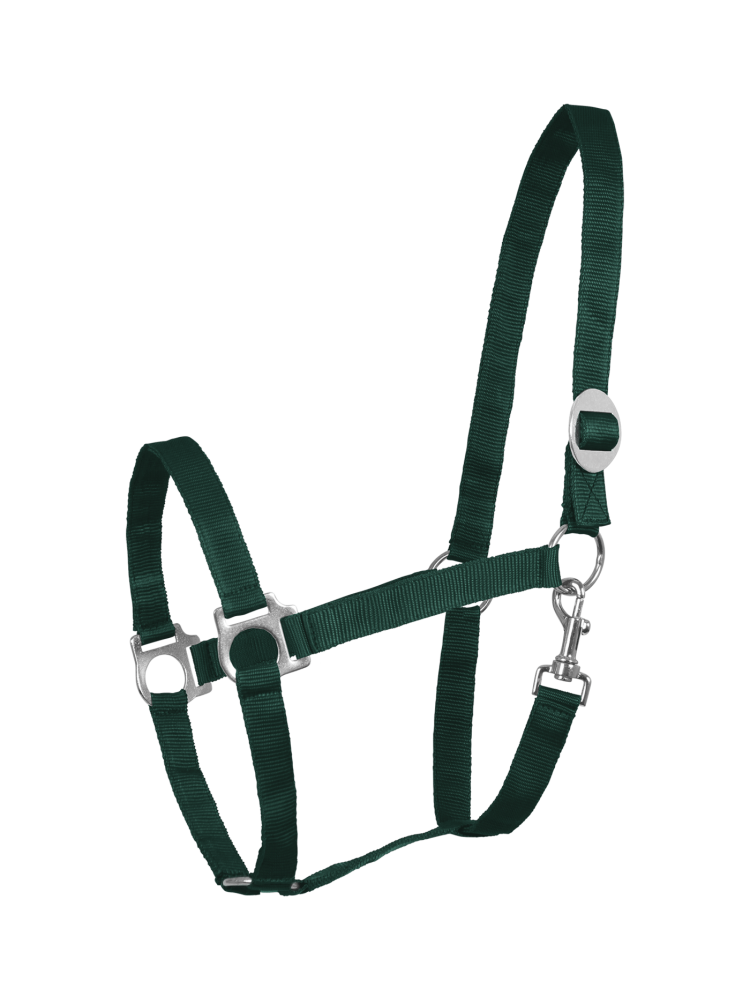 Halter Perlon Waldhausen