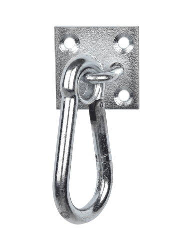 Carabiner Hook on Wall Plate Waldhausen