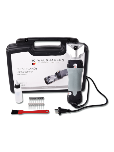 Clipper Waldhausen