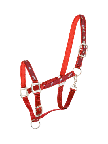 Halter Little Horse Waldhausen