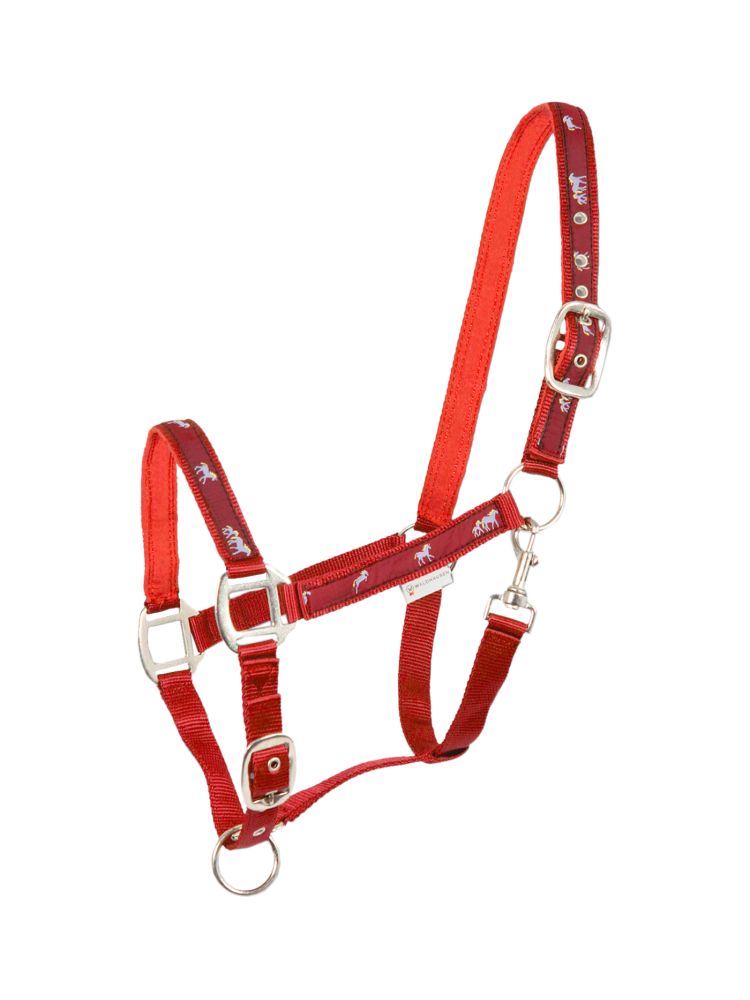 Halter Little Horse Waldhausen