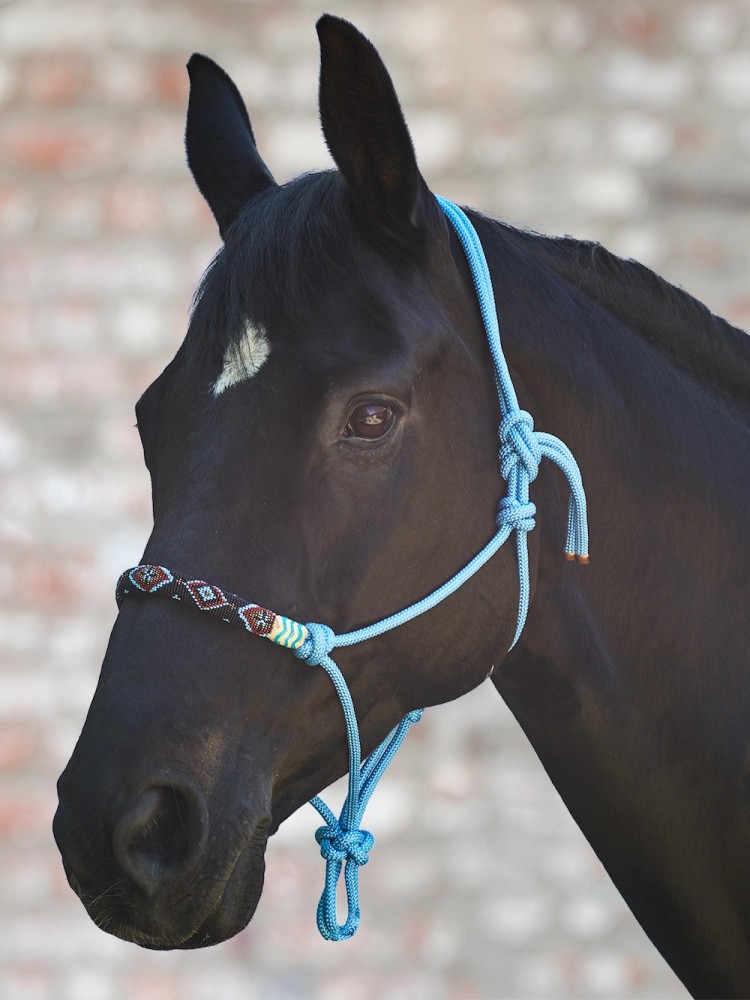 Knotted halter Pearls Waldhausen
