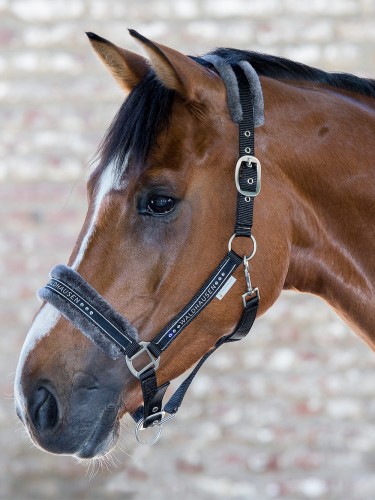Halter Elegant Waldhausen