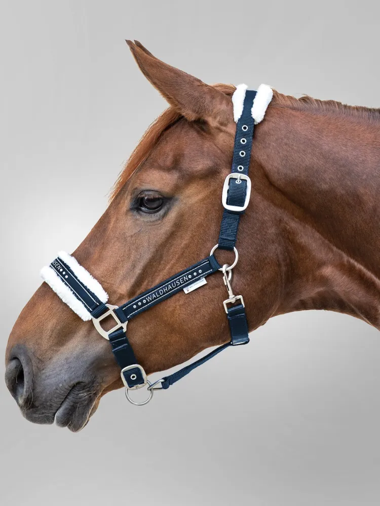 Halter Elegant Waldhausen