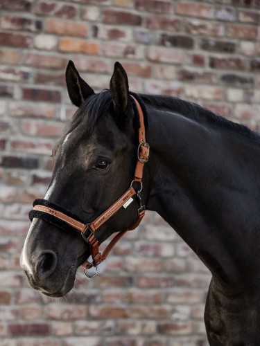 Halter Elegant Waldhausen