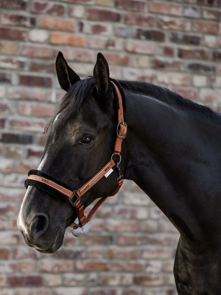 Halter Elegant Waldhausen