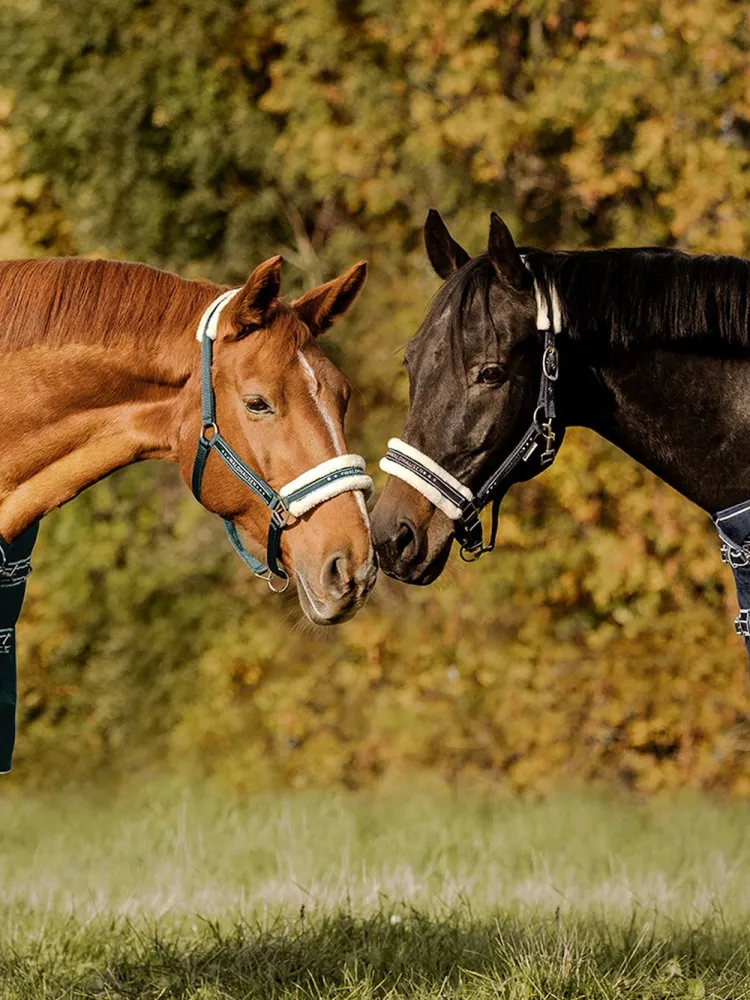 Halter Elegant Waldhausen