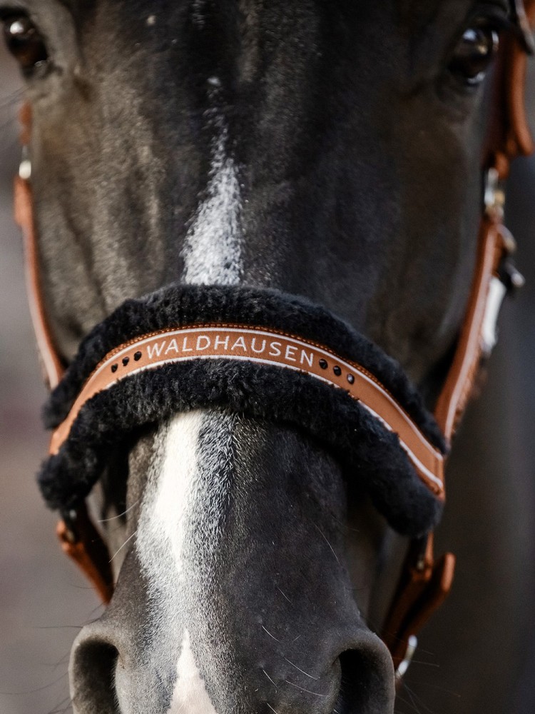 Halter Elegant Waldhausen