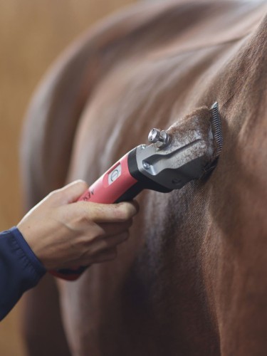 Bonum Cordless Horse Clipper Aesculap