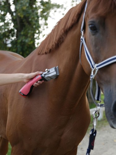 Bonum Cordless Horse Clipper Aesculap