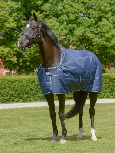Stable rug Quilt 300g SF Bucas