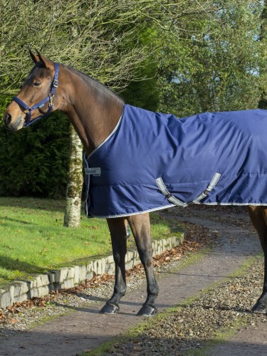 Stable rug Freedom Stable 150g Bucas