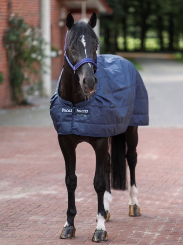 Underrug Liner 300g Bucas