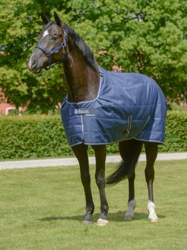 Stable rug Quilt 150g SD Bucas