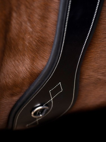 Long girth Legacy HV Polo