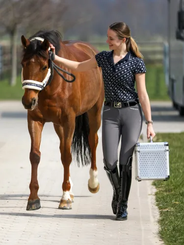 Grooming box Shiny Imperial Riding