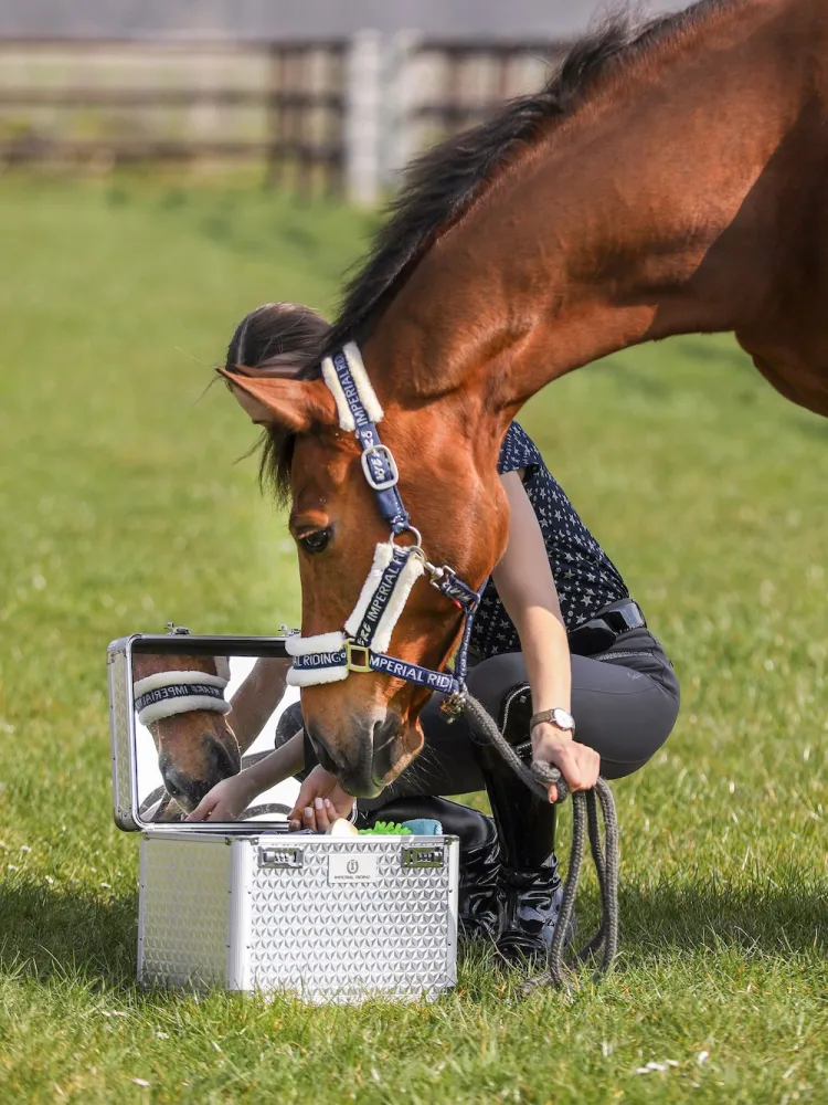 Grooming box Shiny Imperial Riding