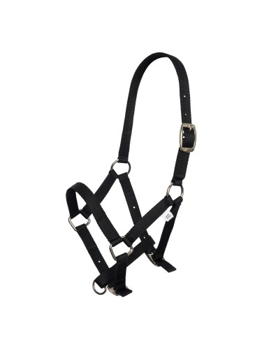 Foal Halter Imperial Riding