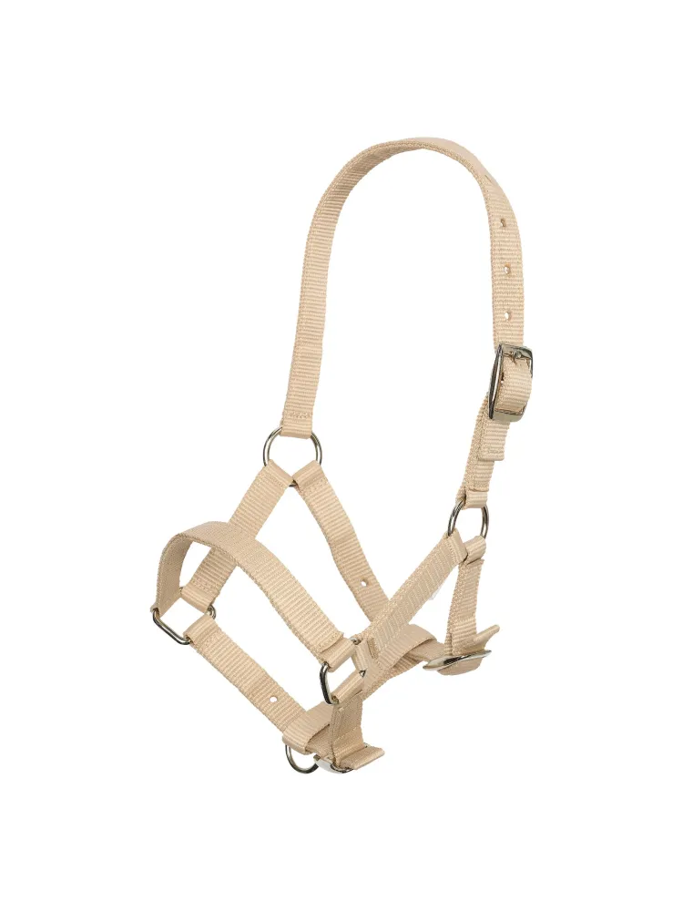 Foal Halter Imperial Riding