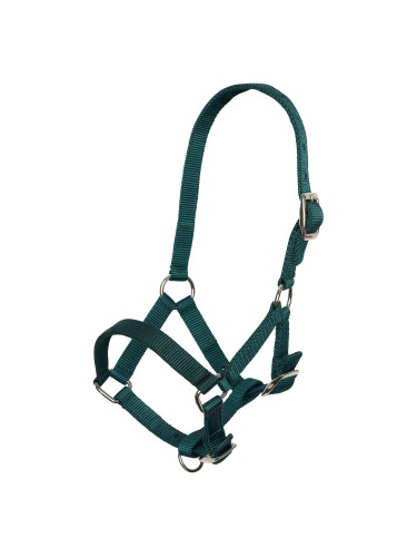 Foal Halter Imperial Riding