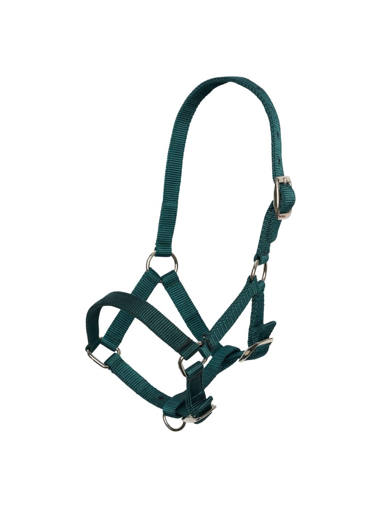 Foal Halter Imperial Riding