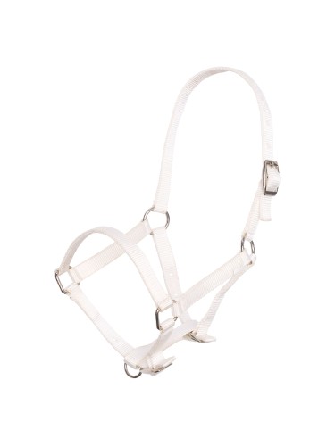 Foal Halter Imperial Riding