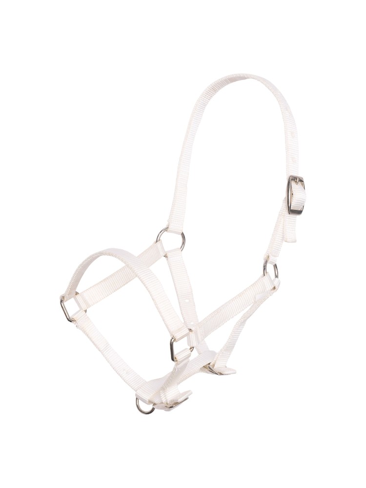 Foal Halter Imperial Riding